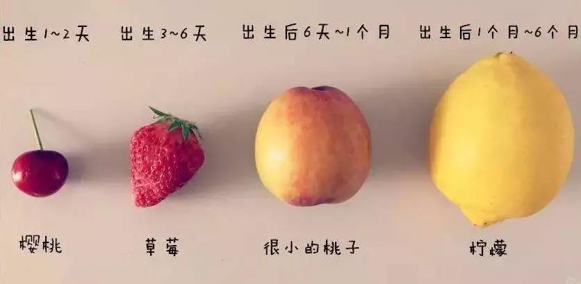 20190121180321_00537.jpg