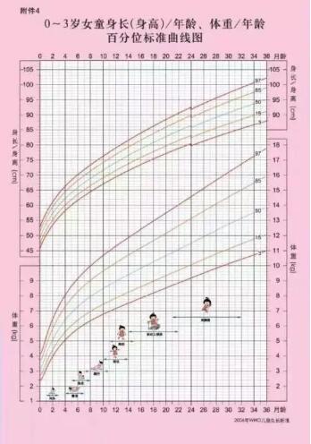 女宝宝.jpg