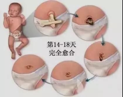微信图片_20190506161111.jpg