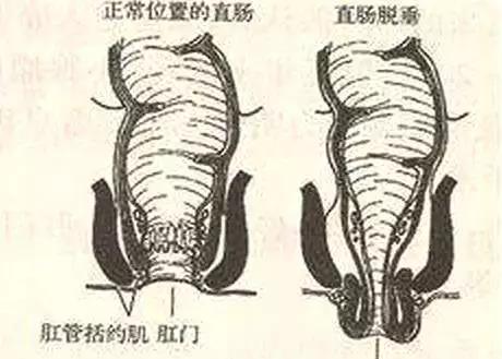 20190516143654_00515.jpg 微信图片_20190516142958.jpg