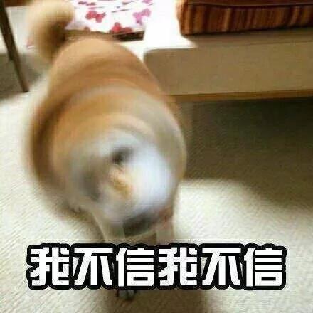 孕3.jpg