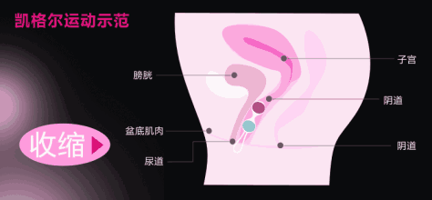 如何锻炼2.gif
