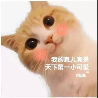惊奇.jpg