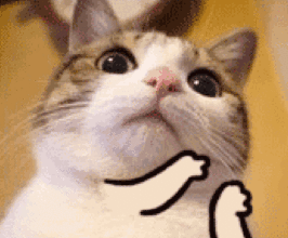 潮流.gif