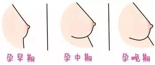 变大变黑4.jpg