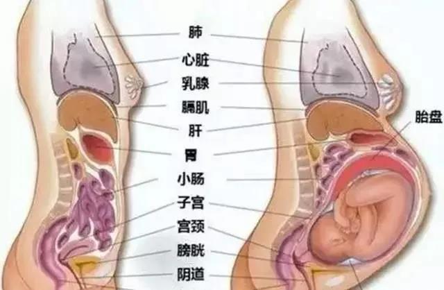 宫收缩6.jpg