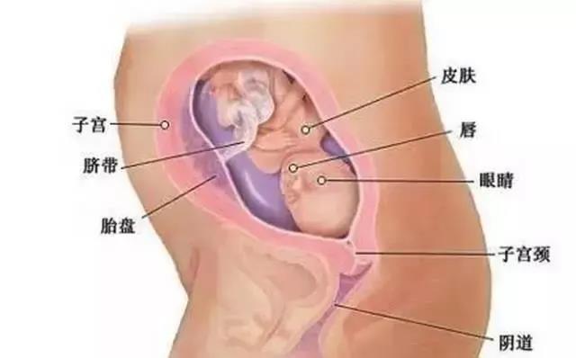 没有食欲7.jpg