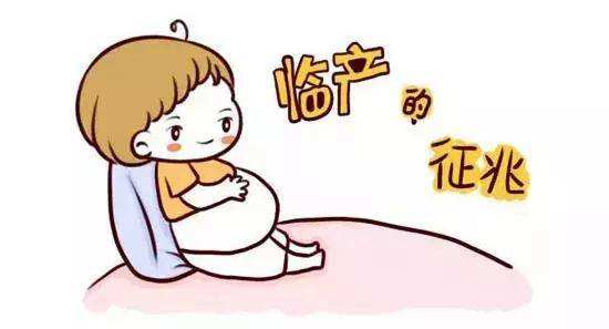 分娩前的征兆1.jpg