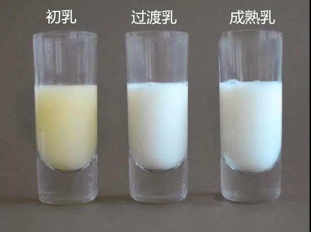母乳喂养1.jpg