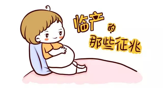 临产前的征兆.png