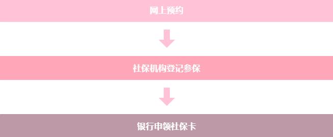 办理流程.jpg
