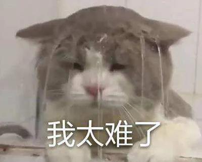 我太难了.jpg