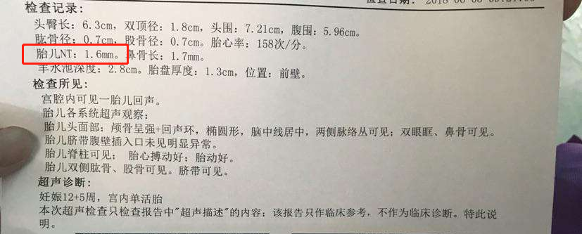 NT检查报告.png